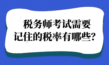 税务师考试需要记住的税率有哪些？