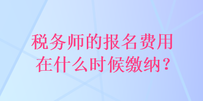 税务师的报名费用在什么时候缴纳？