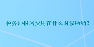 税务师报名费用在什么时候缴纳？