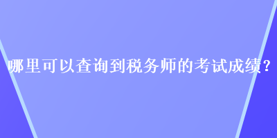 哪里可以查询到税务师的考试成绩？