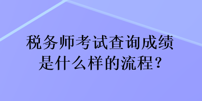 税务师考试查询成绩是什么样的流程？