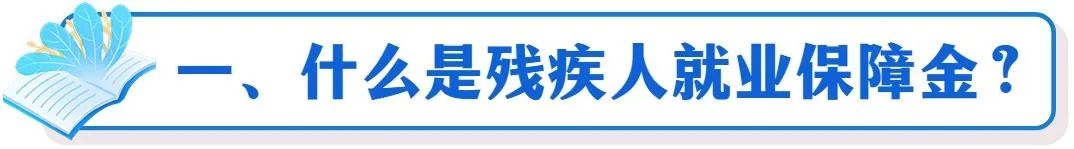 残疾人就业保障金1