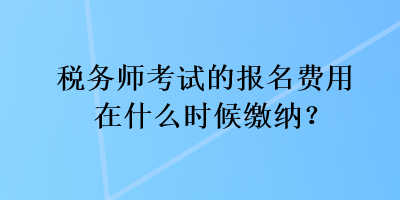 税务师考试的报名费用在什么时候缴纳？