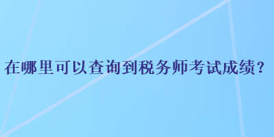 在哪里可以查询到税务师考试成绩？