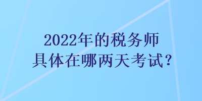 2022年的税务师具体在哪两天考试？