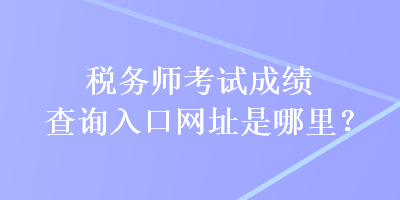 税务师考试成绩查询入口网址是哪里？