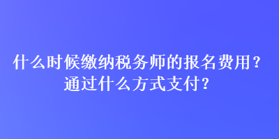 什么时候缴纳税务师的报名费用？通过什么方式支付？