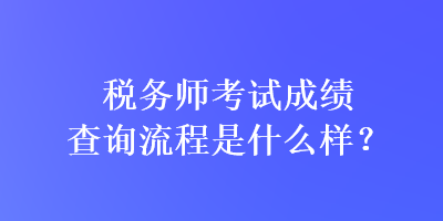 税务师考试成绩查询流程是什么样？