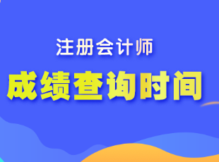 什么时候出注会考试成绩？