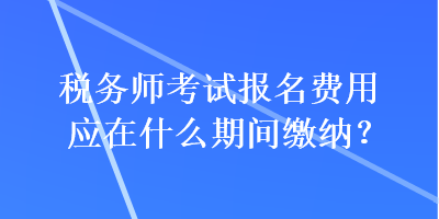 税务师考试报名费用应在什么期间缴纳？