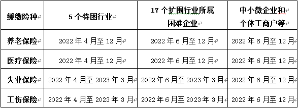 各险种申请缓缴社会保险费政策实施期限（所属期）