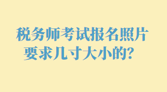 税务师考试报名照片要求几寸大小的？