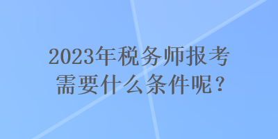 2023年税务师报考需要什么条件呢？