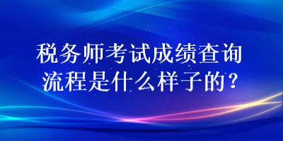 税务师考试成绩查询流程是什么样子的？