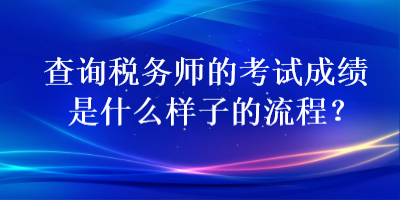 查询税务师的考试成绩是什么样子的流程？