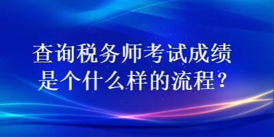 查询税务师考试成绩是个什么样的流程？