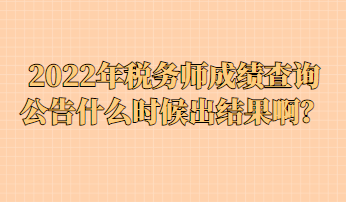 2022年税务师成绩查询公告什么时候出结果啊？