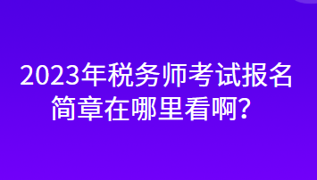 2023年税务师考试报名简章在哪里看啊？