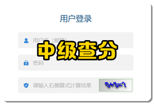 中级成绩查询
