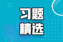 2023初级审计师《审计理论与实务》练习题精选（二十三）