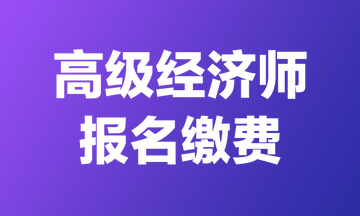 高级经济师报名缴费