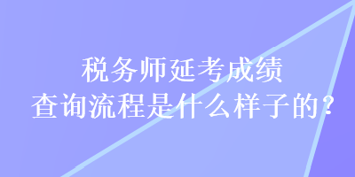 税务师延考成绩查询流程是什么样子的？