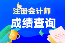 注会成绩查询方式是什么？