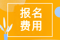 山东省cpa报名费用多少钱？