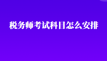 税务师考试科目怎么安排