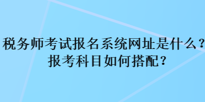 税务师考试报名系统网址是什么？报考科目如何搭配？