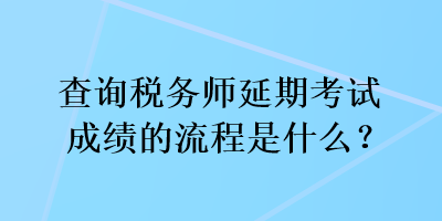 查询税务师延期考试成绩的流程是什么？