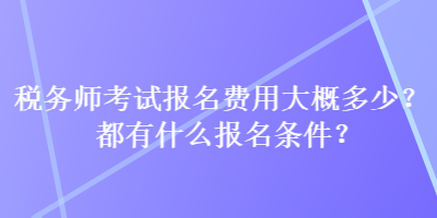 税务师考试报名费用大概多少？都有什么报名条件？