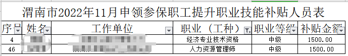 渭南经济师技能补贴