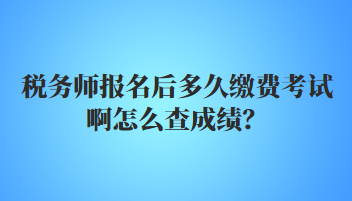 税务师报名后多久缴费考试啊怎么查成绩？