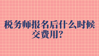 税务师报名后什么时候交费用？