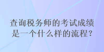 查询税务师的考试成绩是一个什么样的流程？