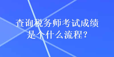 查询税务师考试成绩是个什么流程？