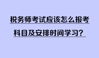 税务师考试应该怎么报考科目及安排时间学习？