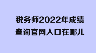 税务师2022年成绩查询官网入口在哪儿？