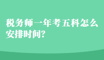 税务师一年考五科怎么安排时间？