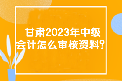 甘肃2023年中级会计怎么审核资料？