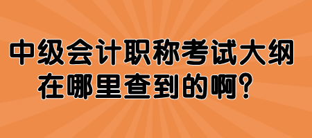 中级会计职称考试大纲在哪里查到的啊？