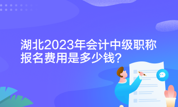 湖北2023年会计中级职称报名费用是多少钱？