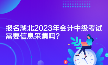 报名湖北2023年会计中级考试需要信息采集吗？