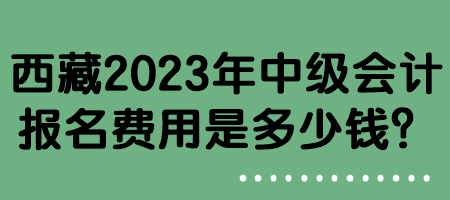 西藏2023年中级会计报名费用是多少钱？