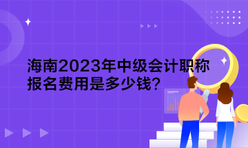 海南2023年中级会计职称报名费用是多少钱？