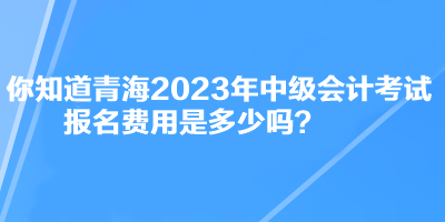 你知道青海2023年中级会计考试报名费用是多少吗？