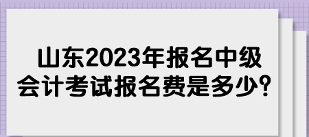 山东2023年报名中级会计考试报名费是多少？