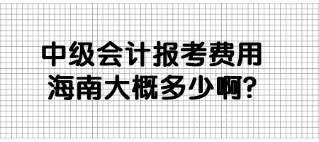 中级会计报考费用海南大概多少啊