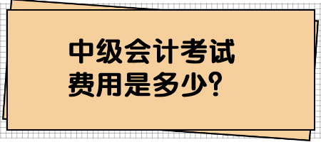 中级会计考试费用是多少？